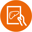 Hand icon holding an image of a liver scan, Liver Imaging, STARLIGHT Study, alcohol-related liver disease, ALD.